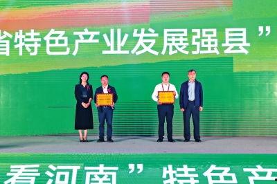 临颍新闻爆料最新消息,最新爆料揭示惊人真相! 第2张 临颍新闻爆料最新消息,最新爆料揭示惊人真相! 第2张